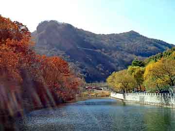 正版澳门天天开彩大全，沈阳饮水机